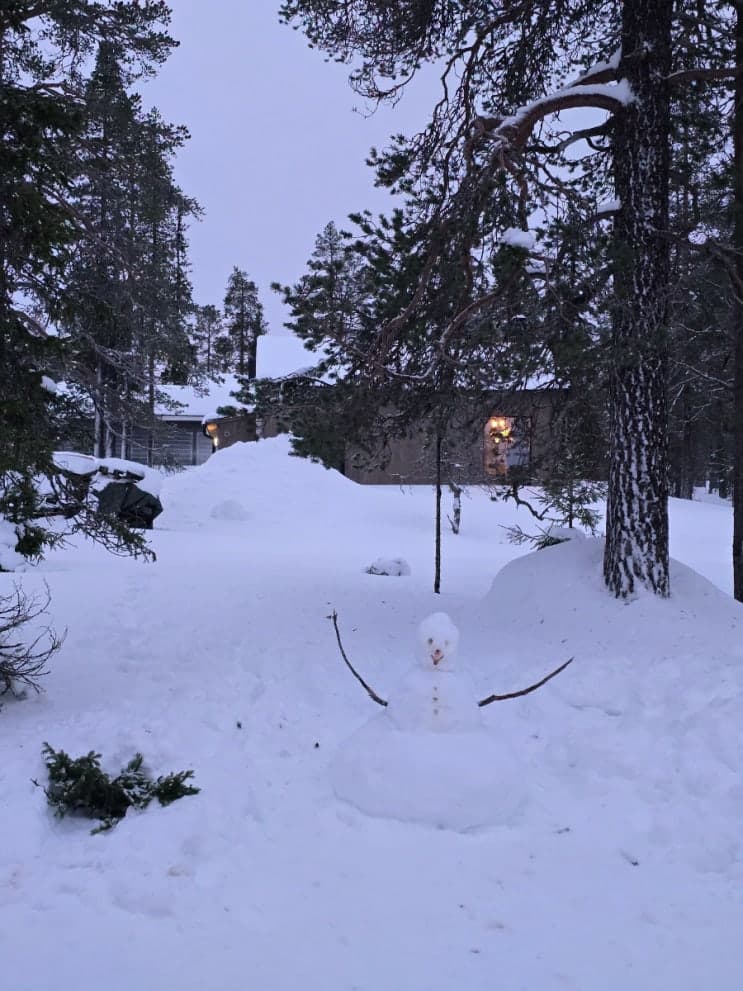 봄을 맞이하며 적어보는 웰리 핀란드 트립 후기