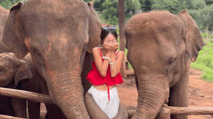 치앙마이에서 보내는