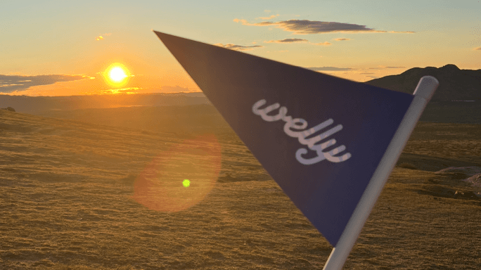 전문 웰니스 코치진