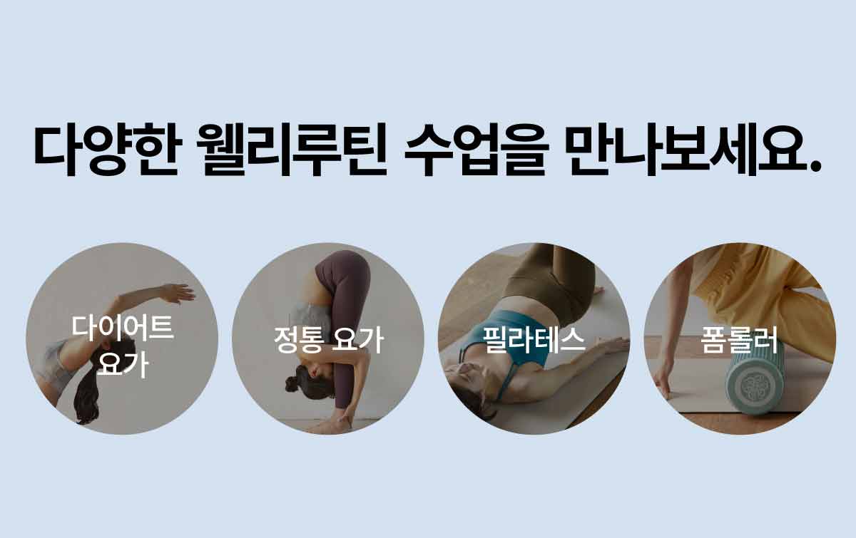 다양한 웰리루틴 수업을 만나보세요.